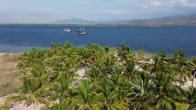 Small island Pulau Bedil, tropical island in Indonesia. Drone view.