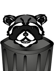 Happy Raccoon