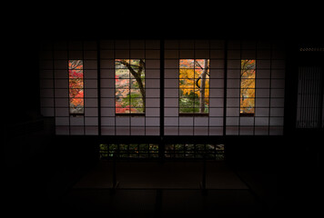 autumn leaves in Japan