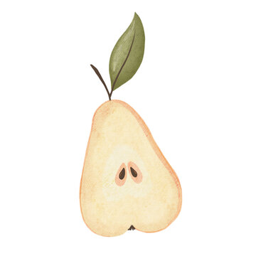 Watercolor illustration of a pear. Hand painted yellow, raw, ripe pear. The pear is cut in half with seeds, pits and pits. Pear tree, plant. Sweet fruits. Element of nature. Isolated image of food