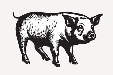 rawpixeloffice2_an_illustration_of_black_and_white_pig_in_the_s_f9314a66-c89d-441e-a6cc-32c9e448f08f-p