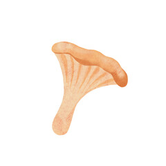 Watercolor hand drawn wild forest porsini mushrooms hand drawn illustration isolated background in simple style. Simple mushrooms in watercolor technique