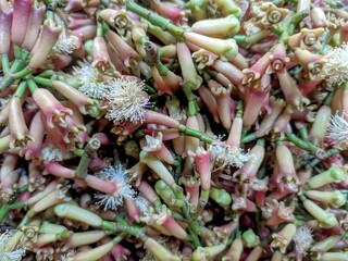 ripe cloves
