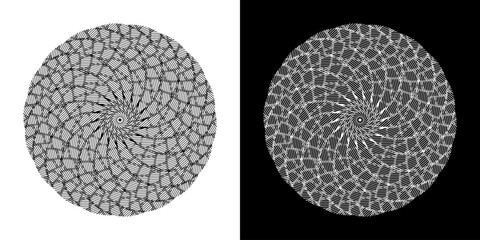 Abstract background with abstract line pattern in circles. Spiral art design as a logo or icon. A black figure on a white background and the same white figure on a black side. Mandala design with line