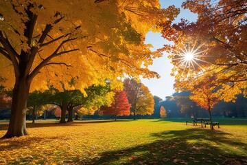 Obraz premium Autumn Park Scenery with Bright Golden and Rust Foliage Bathed in Sunlight
