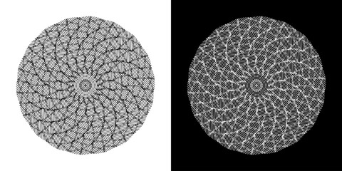 Abstract background with abstract line pattern in circles. Spiral art design as a logo or icon. A black figure on a white background and the same white figure on a black side. Mandala design with line