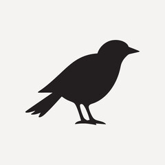 Fototapeta premium Black bird silhouette on white