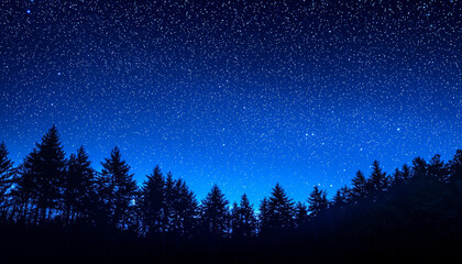 A serene night sky filled with stars, framed by silhouettes of tall trees, creating a tranquil and awe-inspiring atmosphere.