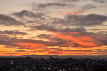 朝陽に照らされる風景