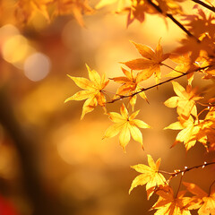 Autumn theme background image