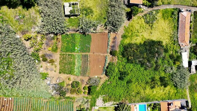 Calheta's Breathtaking Natural Beauty Captured by Drone - Scenic Views of Lush Landscapes, Pristine Coastline, and Serene Atmosphere. Drone video, Nature Drone footage.