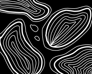 abstract black and white background
