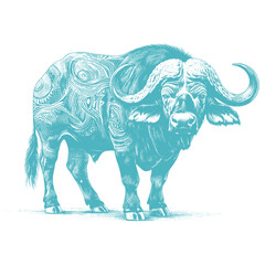 buffalo vector illustration