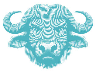 buffalo vector illustration