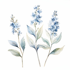 Obraz premium flowers on white