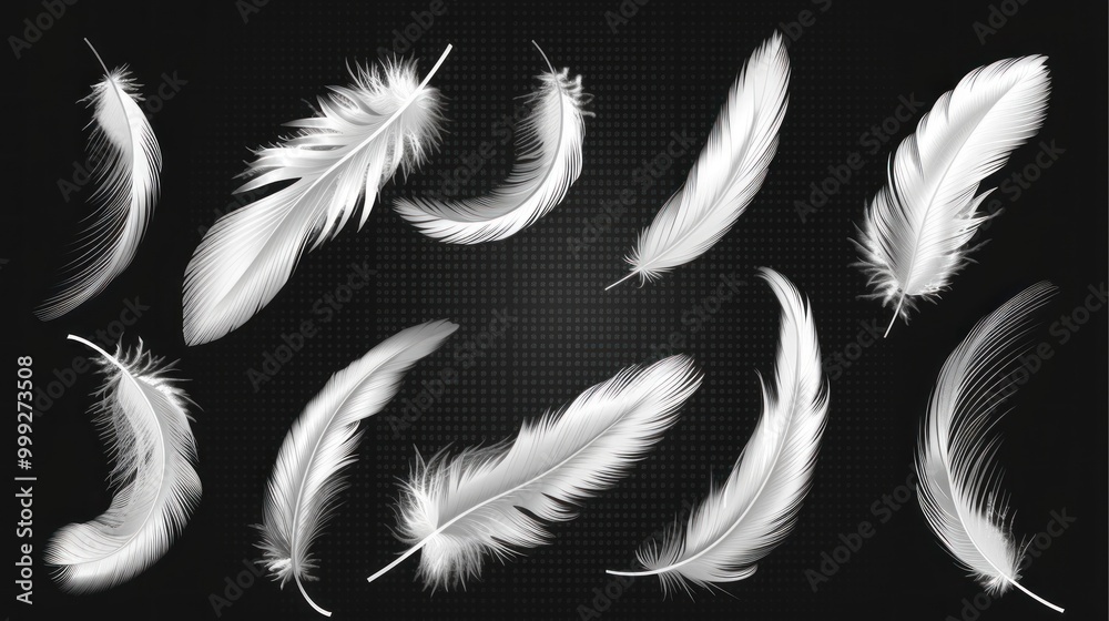 Canvas Prints white feathers on black background