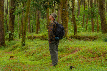 Asian man in adventure outfit in dense and green pine forest area. An adventurer in a flannel shirt, bucket hat, and backpack poses against a backdrop of dense pine trees.