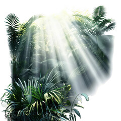 Tropical sunlight beams shining through lush green foliage.