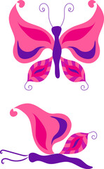 Butterfly with open wings and closed wings. Vector illustration isolated on white background.