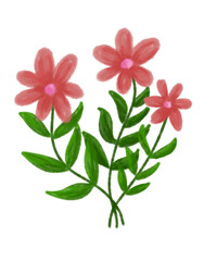 pink and white flowers