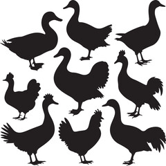 Silhouettes Set of Ducks, Geese, Chickens and Turkeys Vector Art Illustration