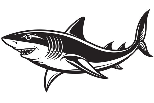black and white shark swimming