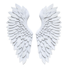 Obraz premium Stunning angel wings showcased against a white backdrop, perfect for enhancing any design or artistic project.