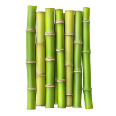 Fresh bamboo stalks stand tall, showcasing their vibrant green hues against a clean white backdrop.