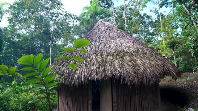 house Shuar - casa shuar - amazonia - ecuador