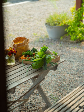 vegetables on a wooden table