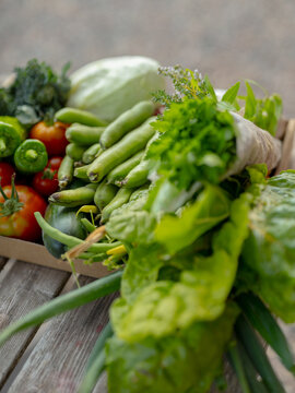 fresh vegetables on the table