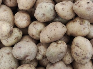 Potatoes on the market