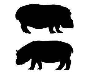 Hippopotamus silhouette on white background.