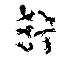 The squirrel silhouette with white background.