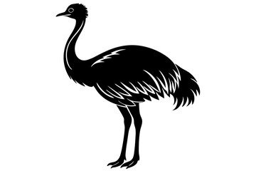 Emu silhouette vector, ostrich emu bird vector illustration 