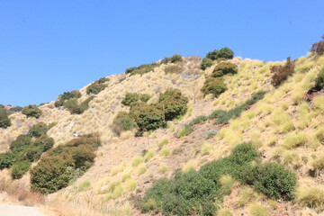 landscape with mountains
