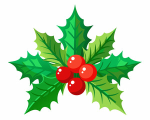 Christmas Holly with Red Berries and Green Leaves, Evergreen Pine Needles vector illustration