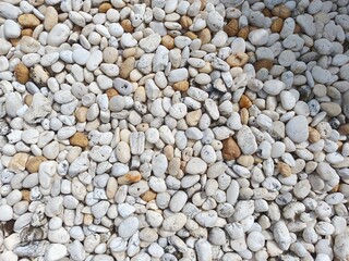 White and Tan Pebbles:  A close-up shot of a textured surface of smooth, white and tan pebbles.  The pebbles are arranged in a random pattern, creating a visually appealing and calming backdrop.