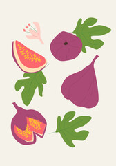 Modern vertical figs poster, vector flat illustration. Summer or autumn bright pattern with fruit, harvest cover design. Can used for labels, market ad, posters, covers for print.