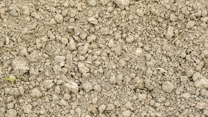 Bangladesh field. Cropland soil. Fine-grained soil creates an artistic impression.