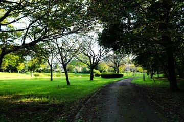 静かな散策路　秋の公園