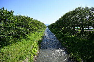 あさひ舟川春の四重奏