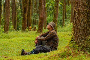 An adventurer is sitting on green grass in a lush pine forest area. Asian man in flannel shirt and bucket hat is sitting and resting while enjoying the tranquility of beautiful nature