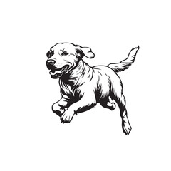 Vector silhouette of dog on white background.cdr