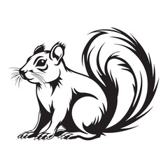 The squirrel black silhouette with white background