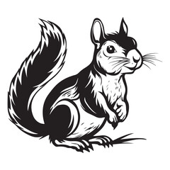 The squirrel black silhouette with white background