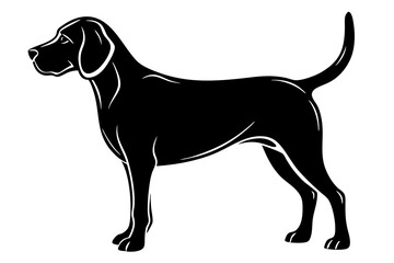 
Beagle dog, Beagle dog silhouette, Beagle hound dog vector
