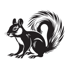 The squirrel black silhouette with white background