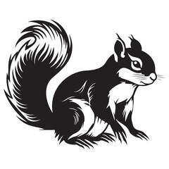 The squirrel black silhouette with white background