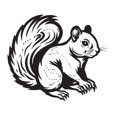 The squirrel black silhouette with white background